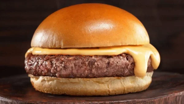 Hamburguer na Brasa - Fraldinha